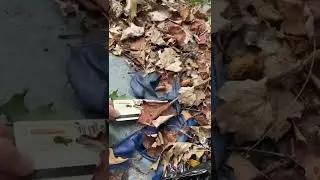 Знакомства с заброшенным лагерем