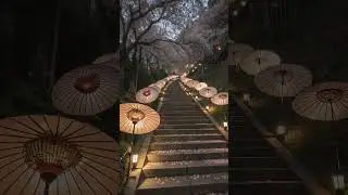 Spring in Japan #aiaesthetics  #japantravel  #springinjapan  #CherryBlossomSeason #travelshorts