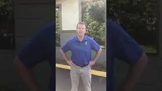 WHY 