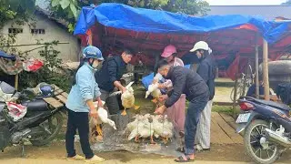 KONG took some ducks to the market to sell to earn money for Lunar New Year shopping.