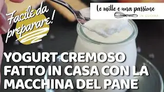 Yogurt Fatto in Casa con la Macchina del Pane Silvercrest | Ricetta Facile e Cremosa