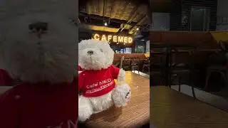 Teddy #wheninhongkong #travel #cafemed #cafe #bear #teddybear #teddy #megabox #hongkong #kowloonbay