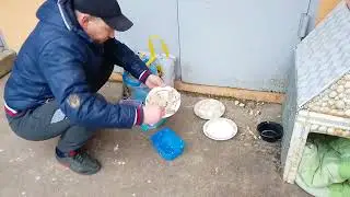 Hungry Cat Family Came to Us 🔥