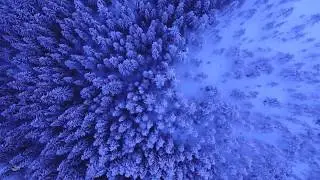 Blues: Almunia - Electro Blues