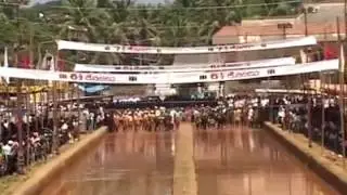 Save Kambala
