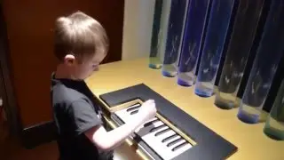 Natural Curiosity Museum