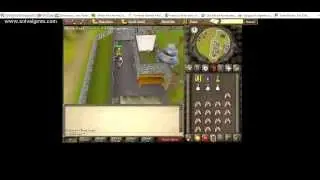 LigerZero95 - Runescape 2007 - Defence Pure - Road to 75 Defence