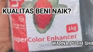 REVIEW PAKAN KOI [KONISHI SUPER SUPER COLOR ENHANCER] PERIODE 1 BULAN