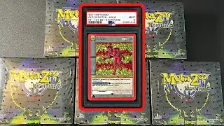 Hunting for Old Scratch! Metazoo Nightfall Opening!