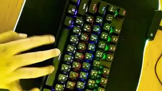 Mechanical keyboard (Blue switch) vs membrane keyboard