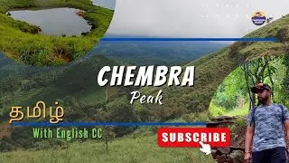 Chembra Peak - Heart ❤️ Shaped Lake  in Wayanad | complete guide #chembrapeak #heartshapedlake