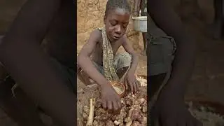 Ancient Tribal Food | Hadzabe Eating #Hadzabe #ancientfoods  #HadzabeEating #wildfood  #shorts