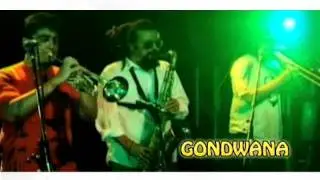 Reggae Latino Tour 2011 - Nov. 29th @ Mezzanine