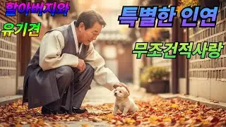 [감동실화] 유기견 복이가 우리 가족에게 가르쳐준 무조건적인 사랑 | 말없는 위로