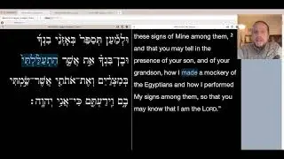Rob on the ROCK Live Stream ~ Parashat Bo