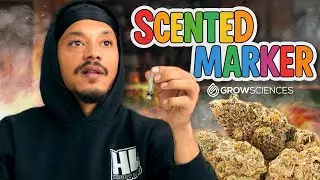 Scented Marker - Grow Sciences
