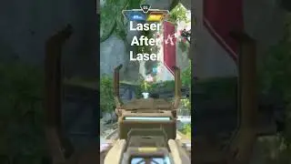 These laser pointers are killing these cats!