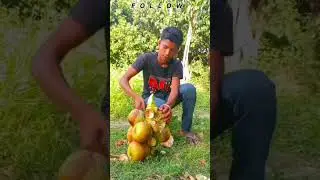 13M Views | Juice of toddy palm ! Palmyra palm juice natural alcohol ! cookingfood
