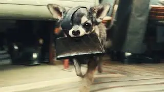Cruella / Stealing Scene (