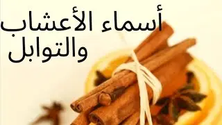 أسماء البهارات والأعشاب باللغة التركية