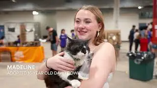 Celebrating Love in Houston | Mega Adoption Event | Petco Love