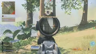 Call of Duty: LeRene