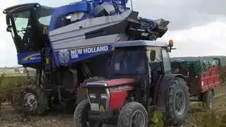 New Holland BRAUD 9040L wine grape harvester picker