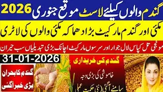 Today Wheat price in punjab//گندم کا ریٹ2026/munji makki till sarso/Galla mandi rate today 2026