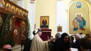 Domenica delle Palme San Benedetto Ullano 2016