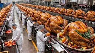 Roast Turkey Factory: How Millions of RoastTurkey Are Made in a Factory (Full Process #food #snake 