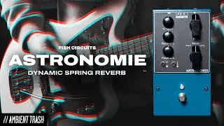 Fish Circuits - Astronomie Dynamic Reverb // Full Demo