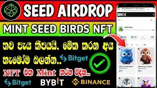 Seed airdrop NFT mint | how to mint bird NFT | OKX market place NFT buy | more allocation bird NFT