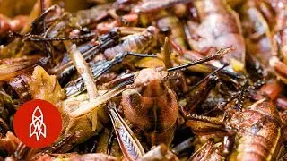 What&rsquo;s Baseball Without a Side of Grasshoppers?