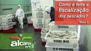 Promotora explica como deve ser a fiscalização de pescados. Programa Alcance do MPSC - bloco 2