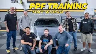 Paint Protection Film Installation Training at Tint World in Los Angeles