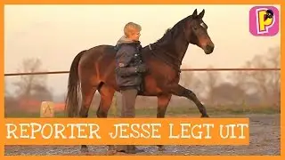 Vrijheidsdressuur: Jesse legt uit