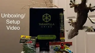 Tarantula Cribs TreeHouse Switch Extra Large 12x12x18 Unboxing and Setup Video - Mystery Gecko