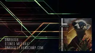 DimbiDub - Stoned Meerkat (DimbiDeep Music) #dubtechno #electronica