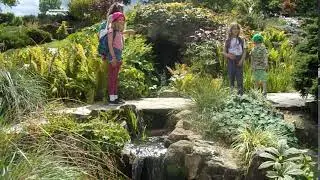 A waterfall at RHS Wisley, Surrey