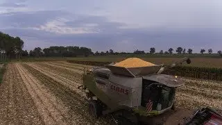 CLAAS Lexion 600 Terra-Trac - High Moisture Corn Harvest for Pigs