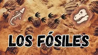 Viaje a trav&eacute;s del tiempo: Descubriendo el mundo de los f&oacute;siles