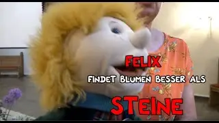 Felix findet Blumen besser als Steine (16)