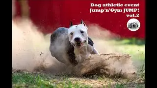 Легкоатлетическое пит-стафф многоборье Jump'n'Gym JUMP! vol 2.