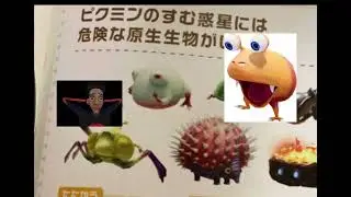 &ldquo;You may want to reconsider buying Pikmin 4 after seeing this&rdquo; @frangrams