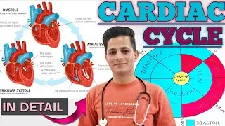 THE CARDIAC CYCLE IS SO EASY AND SIMPLE EXPLANATION IN HINDI+ENGLISH🙋&zwj;♂️ ||CARDIOVASCULAR SYSTEM
