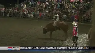 Highlights: Livingston Roundup bull riding Day 1