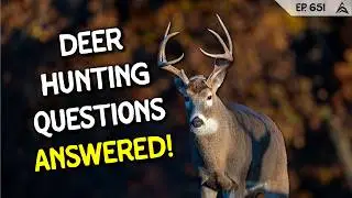 How Do You Find Does To Hunt? Deer Hunting Q&A!