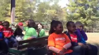Bella train ride
