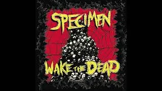 Every Day Is Halloween (Specimen, 2013)