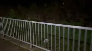Rebel Boxer Dog spots UFO Over Windfarm